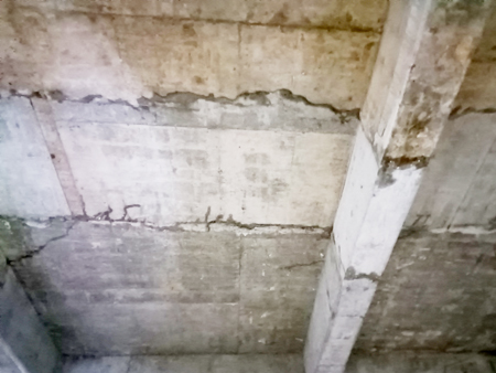 1712475216602997.jpg IMG20230922135833.jpg